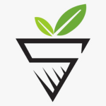 Stock Sovet Logo